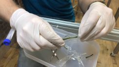 PressureChamber2-1 Thumbnail